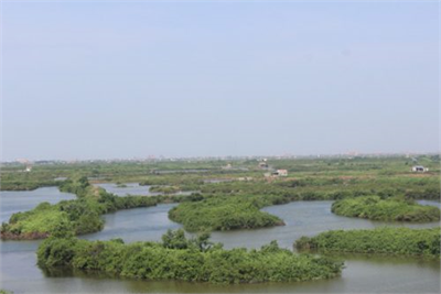 Bảo tồn rừng gắn với sinh kế người dân