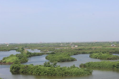 Bảo tồn rừng gắn với sinh kế người dân