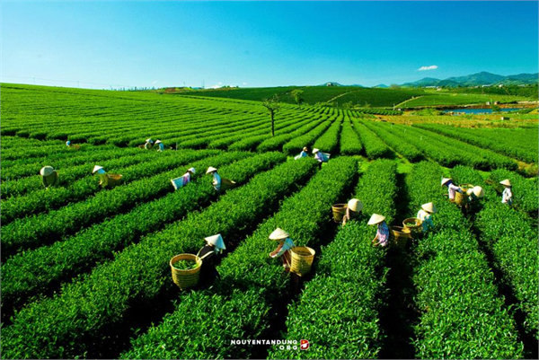 Công bố nhóm công tác liên tỉnh về quản lý nước tại khu vực Tứ giác Long Xuyên