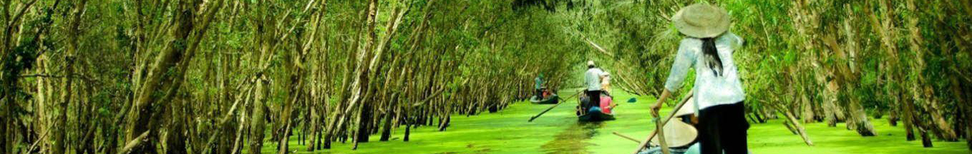 Banner 2