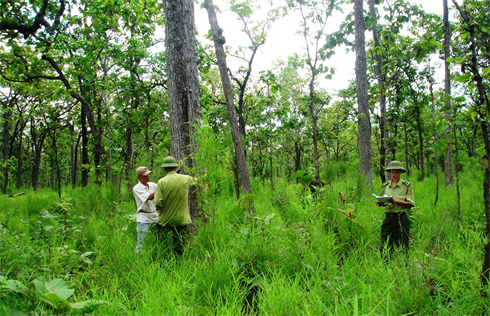 Mekong Climate Resilience